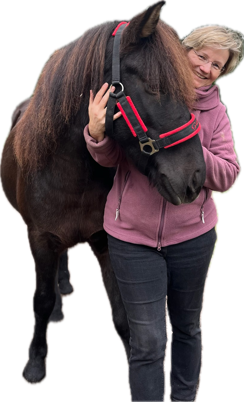 Lustiges Pferd